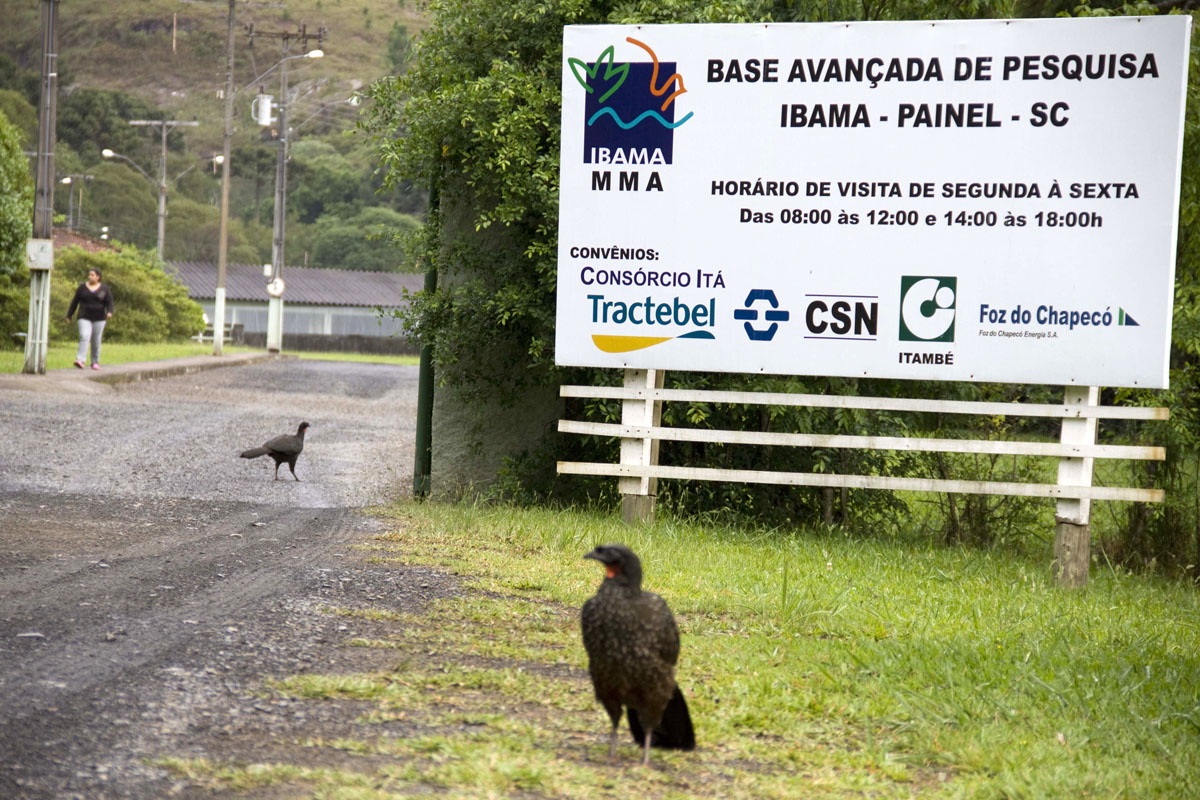 Leia mais sobre o artigo Forsema deseja que Estado assuma estação de Truticultura de Painel