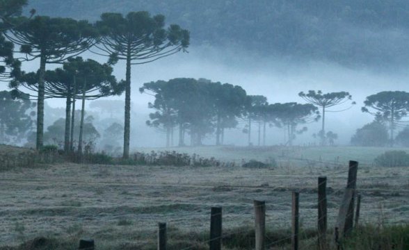 Você está visualizando atualmente Serra completa 15 dias com geada. Nesta quinta a mínima foi de 0,3 ºC