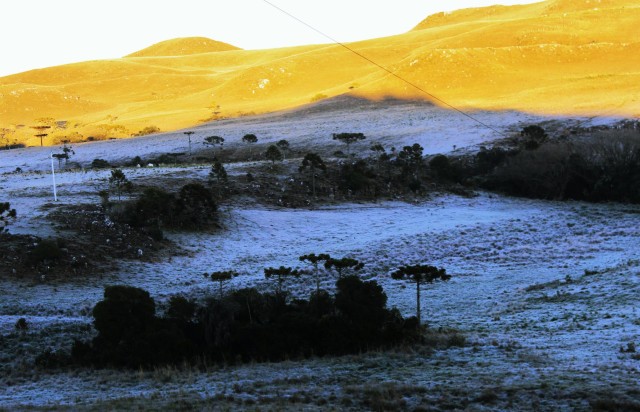 Leia mais sobre o artigo São Joaquim registra nova geada a -3,2ºC e Caminhos da Neve ficou branco com o gelo