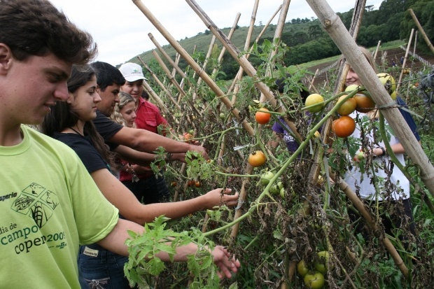 Leia mais sobre o artigo Secretaria da Educação irá comprar quatro toneladas em produtos de agricultura familiar