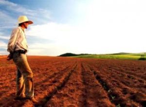 Leia mais sobre o artigo Prefeituras devem informar Valor da Terra Nua até dia 31 de julho