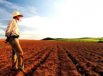 Você está visualizando atualmente Prefeituras devem informar Valor da Terra Nua até dia 31 de julho