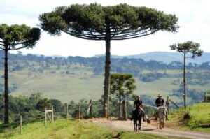 Leia mais sobre o artigo Câmara aprova regulamentação do turismo rural