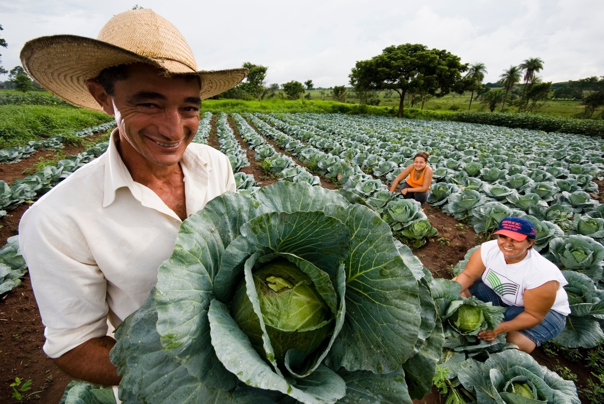 Você está visualizando atualmente Seminário Estadual de Desenvolvimento Rural da Fetaesc debate sustentabilidade