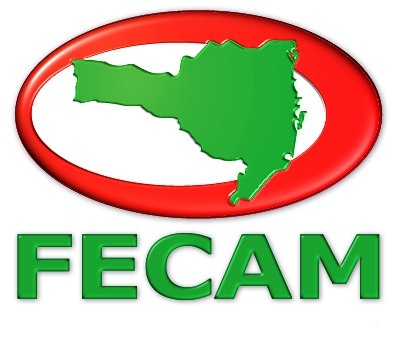 Leia mais sobre o artigo Conselho Executivo da FECAM prioriza demandas para 2016