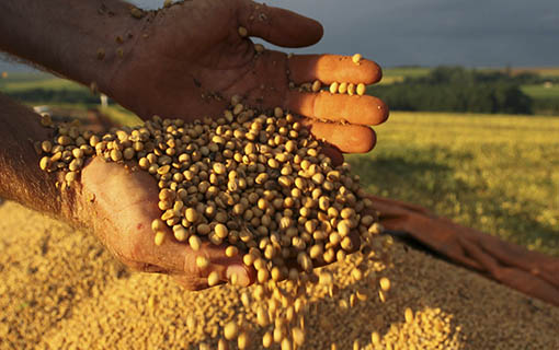 Você está visualizando atualmente Dados do Cadastro Ambiental Rural devem ser apresentados até 5 de maio