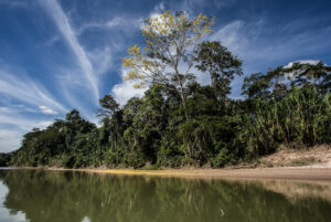 Leia mais sobre o artigo Câmara aprova MP que prorroga prazo para registro no Cadastro Ambiental Rural