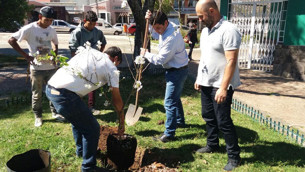 Você está visualizando atualmente Prefeitura distribui mais de 800 mudas de árvores em São Joaquim