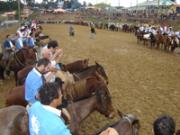 Leia mais sobre o artigo Mostra do Campo superou expectativas