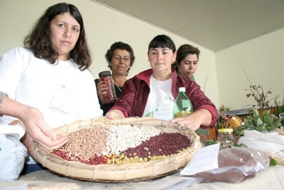 Leia mais sobre o artigo Agroecologia já movimenta mais de R$ 1,5 milhão na região