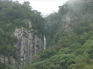 Leia mais sobre o artigo Código Ambiental Estadual será discutido em audiências públicas