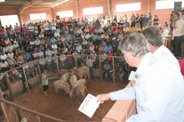 Você está visualizando atualmente Compradores disputaram terneiros na feira do Cerrito