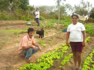 Leia mais sobre o artigo Lages e Florianópolis terão recursos para hortas comunitárias