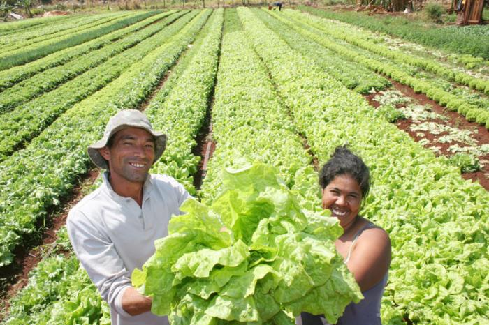 Leia mais sobre o artigo Seminário discute alimentos para a merenda escolar