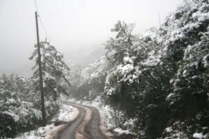 Leia mais sobre o artigo Urupema amanheceu quinta-feira coberta de neve