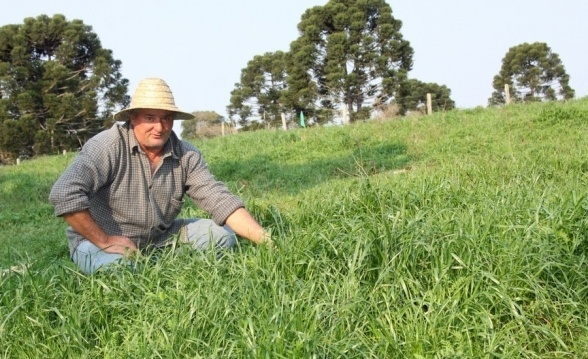 Você está visualizando atualmente A Reforma Agrária que deu certo