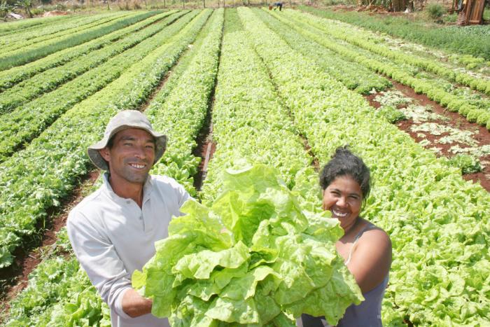 Leia mais sobre o artigo Agricultura familiar tem potencial para fornecer alimentos para todo mundo, diz ministro argentino