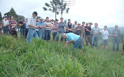 Leia mais sobre o artigo Bom Retiro promove Dia de Campo sobre Forrageiras de Verão