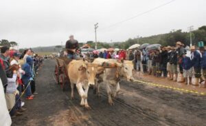 Leia mais sobre o artigo Festa da Agricultura Familiar atraiu mais de 15 mil pessoas