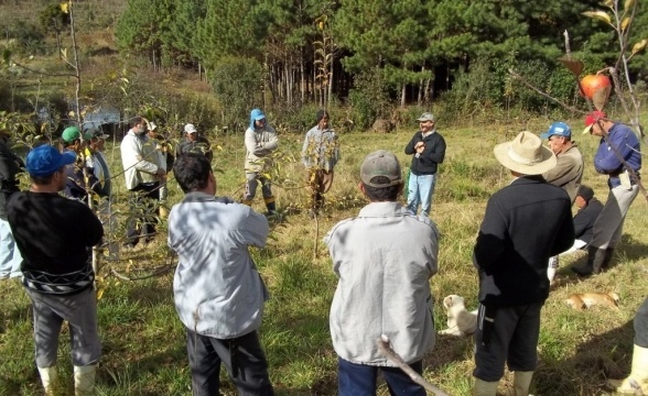 Você está visualizando atualmente Capacitação de fruticultores sobre poda e condução da macieira