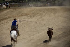 Leia mais sobre o artigo Festa Campeira atraiu tradicionalistas à Capão Alto