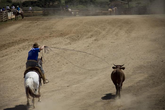 Você está visualizando atualmente Festa Campeira atraiu tradicionalistas à Capão Alto