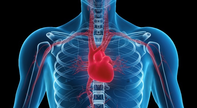 Você está visualizando atualmente Governo do Estado custeará atendimento cardiológico a pacientes do SUS na Serra