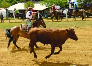 Leia mais sobre o artigo Organizadores acreditam ter sido a maior festa de todas as edições