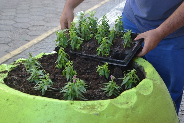 Leia mais sobre o artigo Prefeitura de São Joaquim renova canteiros de flores para deixar a cidade mais bonita