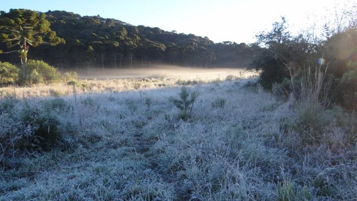 Você está visualizando atualmente Semana começa com temperaturas negativas em Urupema SC