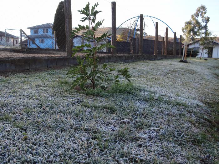 Leia mais sobre o artigo Mais uma manhã gelada em Urupema com geada e temperaturas negativas