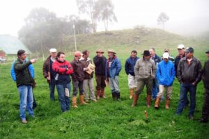 Leia mais sobre o artigo Pecuaristas participam de tarde de campo sobre implantação e manejo de pastagens em Urupema