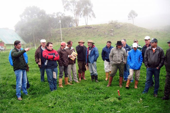 Leia mais sobre o artigo Pecuaristas participam de tarde de campo sobre implantação e manejo de pastagens em Urupema