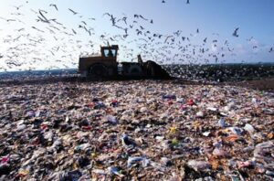 Leia mais sobre o artigo Fim dos lixões até 2014 é tema da Conferência Nacional do Meio Ambiente