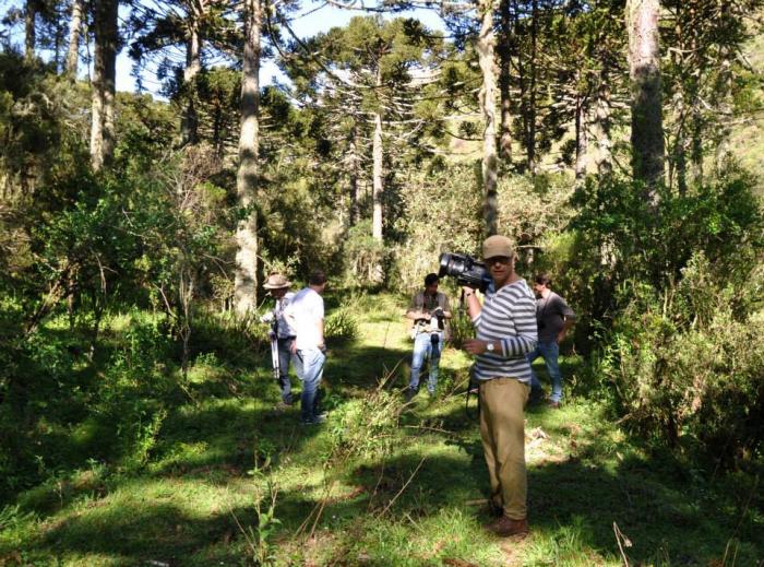 Você está visualizando atualmente Preservação das araucárias na Serra Catarinense é tema de programa que será transmitido em 30 línguas pela TV alemã DW