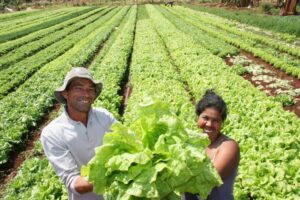 Leia mais sobre o artigo PAA: Agricultores familiares receberam quase R$ 10 milhões em janeiro