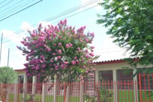 Leia mais sobre o artigo Nesta semana, Raimundo Colombo irá inaugurar obras em três escolas de Lages