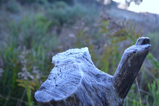 Você está visualizando atualmente Semana será de temperaturas baixas em municípios da Amures