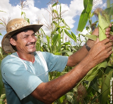 Você está visualizando atualmente Medida provisória amplia auxílio a agricultores atingidos por desastres naturais