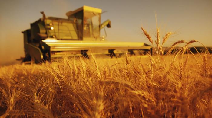 Você está visualizando atualmente Novas medidas nos planos agrícolas para 2014/2015