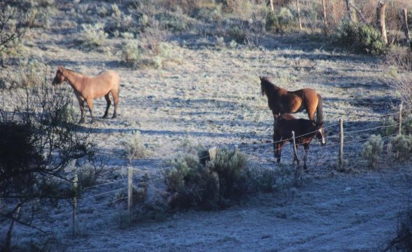 Leia mais sobre o artigo Serra Catarinense registra a menor temperatura do ano com 5,6ºC negativos