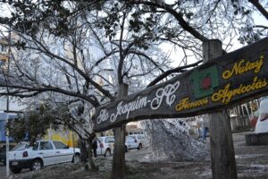 Leia mais sobre o artigo Com árvores congeladas São Joaquim bate recorde absoluto no Brasil registrando -8.4°C