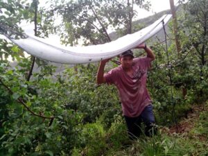 Leia mais sobre o artigo Chuva de granizo provoca destruição em pomares da localidade de Luizinho em São Joaquim