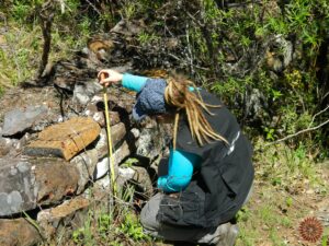 Leia mais sobre o artigo I Conferência de Arqueologia da Serra Catarinense em 14 de março