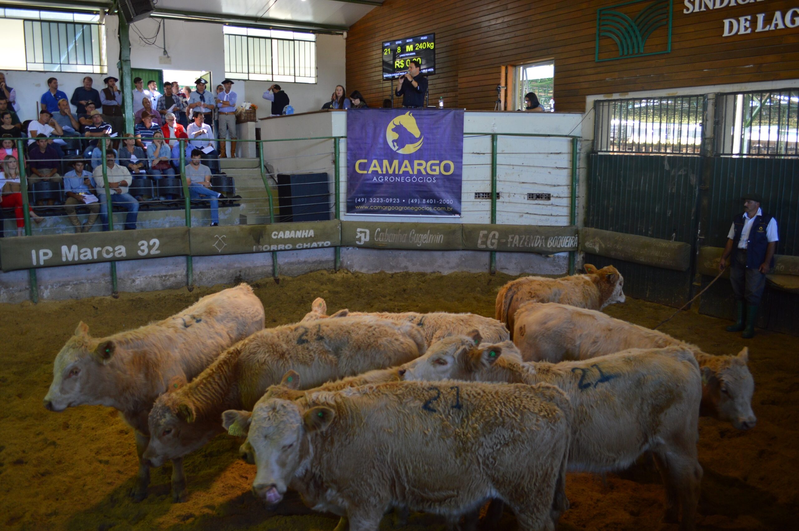 Você está visualizando atualmente Feira de Gado Geral abre o calendário de eventos de 2018