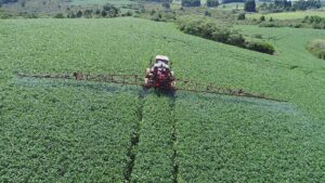 Leia mais sobre o artigo Expofeira de Campo Belo do Sul aguardada com grande expectativa