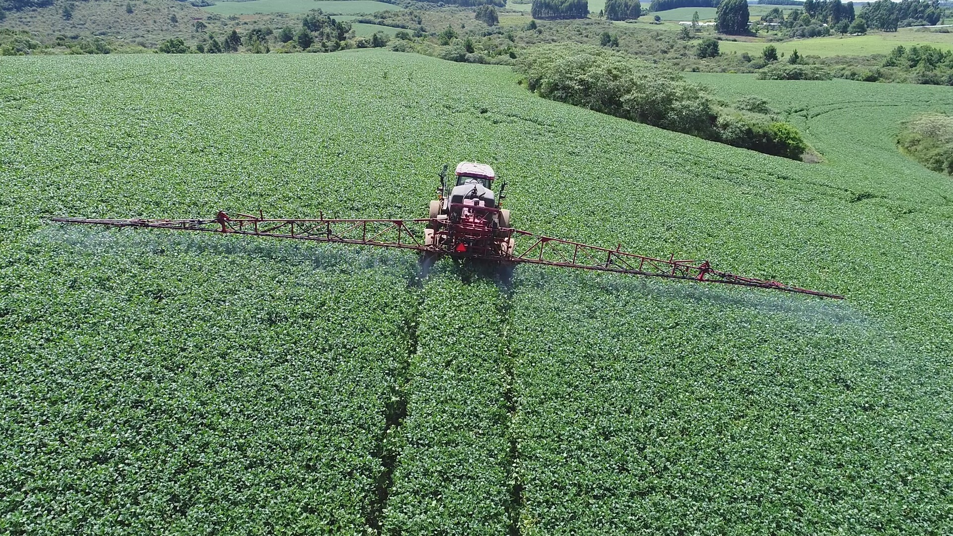 Você está visualizando atualmente Expofeira de Campo Belo do Sul aguardada com grande expectativa