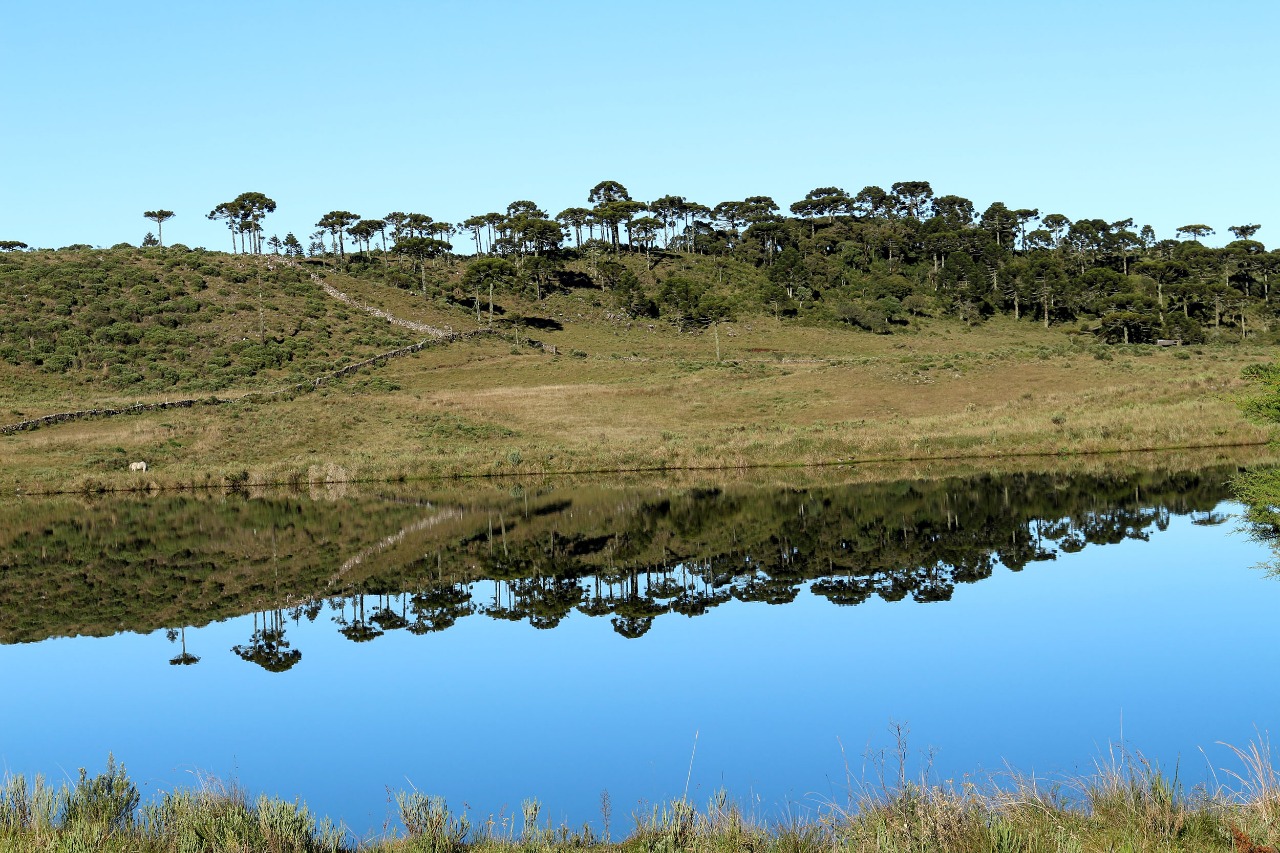 Você está visualizando atualmente Workshop ajudará a integrar o turismo da Serra Catarinense