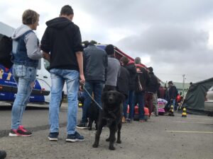 Leia mais sobre o artigo Cerca de 1.500 cães e gatos serão castrados em 2019