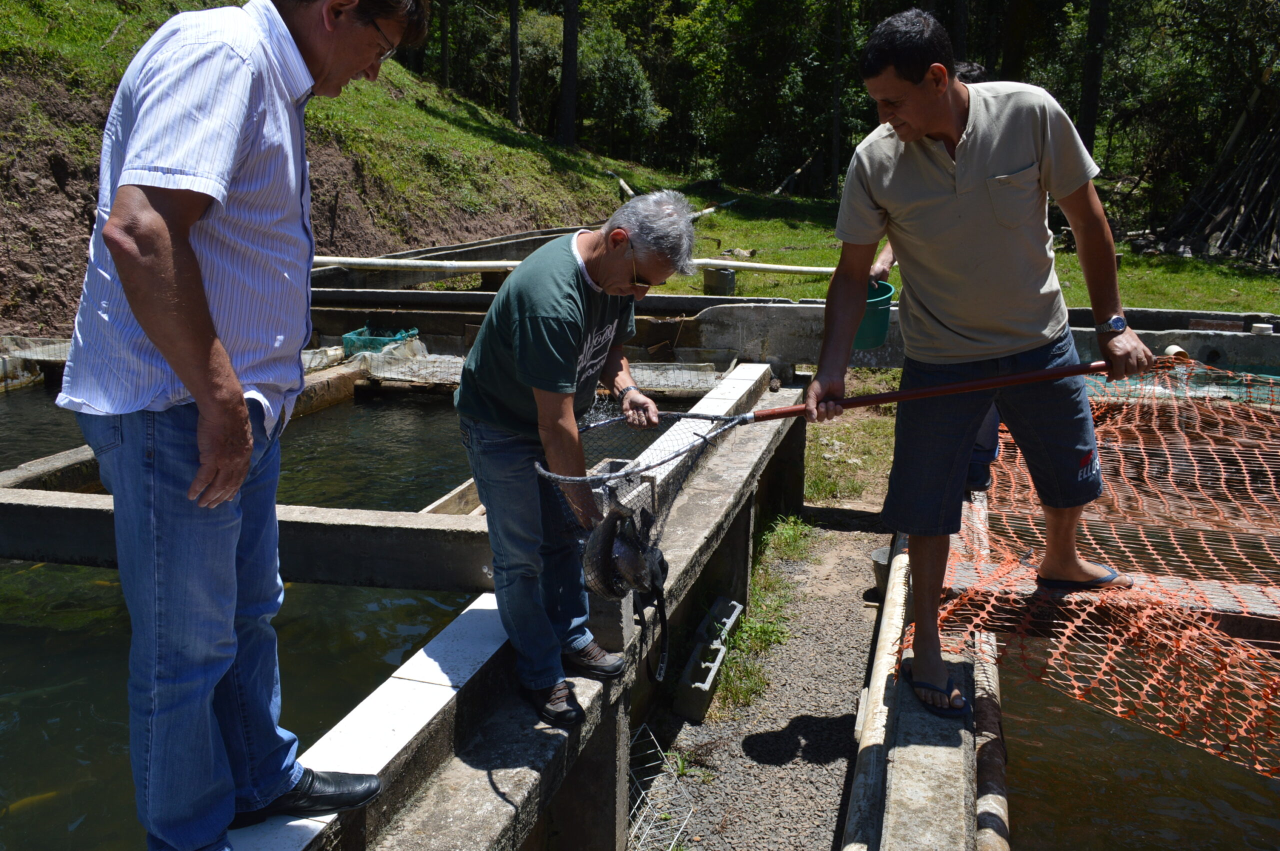 Você está visualizando atualmente Produtores comemoram a valorização da carne da truta na Serra Catarinense